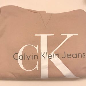 Calvin Klein Logo Hooded Sweatshirt